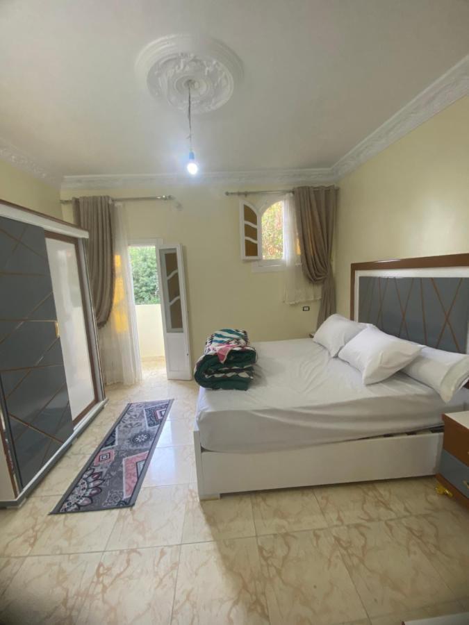 Sunrise Shiny Nubian Guest House Assouan Extérieur photo